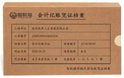 一般納稅人企業(yè)代做賬服務(wù)案例-深圳優(yōu)車人力資源做賬案例